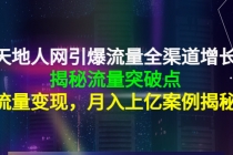 天地人网引爆流量全渠道增长：揭秘流量突然破点，流量变现，月入上亿案例-创业网