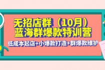 无招店群·蓝海群爆款特训营(10月新课) 低成本起店+小爆款打造+群爆款维护-创业网