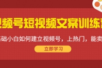 视频号短视频文案训练营：0基础小白如何建立视频号，上热门，能卖货！-创业网