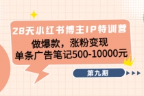 28天小红书博主IP特训营《第9期》做爆款，涨粉变现 单条广告笔记500-10000-创业网