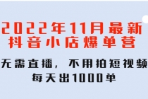 2022年11月最新抖音小店爆单训练营：无需直播，不用拍短视频，每天出1000单-创业网