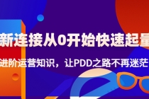 新连接从0开始快速起量：进阶运营知识，让PDD之路不再迷茫！-创业网