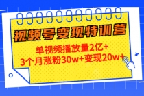 20天视频号变现特训营：单视频播放量2亿+3个月涨粉30w+变现20w+-创业网