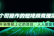 五个可操作的短视频变现项目：年销售额上亿的项目，人人能复制-创业网