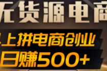 抖上拼无货源电商创业项目、外面收费12800，日赚500+的案例解析参考-创业网