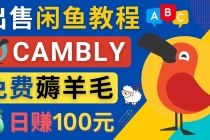 闲鱼赚钱小技巧，每单净赚10元，日赚100元 – 出售Cambly注册教程-创业网