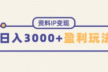 资料IP变现，能稳定日赚3000起的持续性盈利玩法-创业网