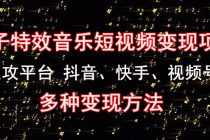 《粒子特效音乐短视频变现项目》主攻平台 抖音、快手、视频号 多种变现方法-创业网