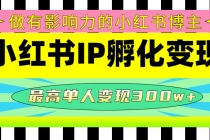 某收费培训-小红书IP孵化变现：做有影响力的小红书博主，最高单人变现300w+-创业网