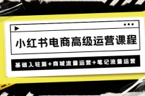 小红书电商高级运营课程：基础入驻篇+商城流量运营+笔记流量运营-创业网