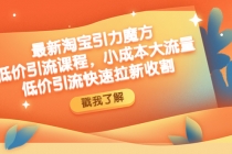 最新淘宝引力魔方低价引流实操：小成本大流量，低价引流快速拉新收割-创业网