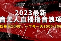 2023最新抖音无人直播撸音浪项目，0粉丝每天1小时，一个号一天1500-2000元-创业网