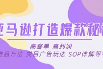 亚马逊打造爆款秘诀：高客单 高利润 推品方法 类目广告玩法 SOP详解等等-创业网