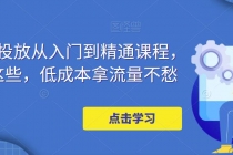 万相台投放·新手到精通课程，学会这些，低成本拿流量不愁！-创业网