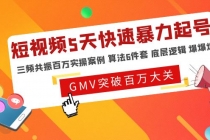 短视频5天快速暴力起号，三频共振百万实操案例 算法6件套 底层逻辑 爆爆爆-创业网