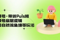 视频号·带货Puls班，视频号底层逻辑，起号自然流鱼塘等玩法-创业网