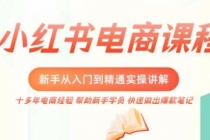 小红书电商新手入门到精通实操课，从入门到精通做爆款笔记，开店运营-创业网