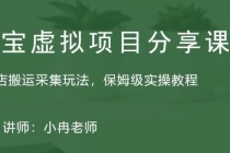 淘宝虚拟整店搬运采集玩法分享课：整店搬运采集玩法，保姆级实操教程-创业网