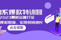 2023淘系爆款特训营，2023最新运营打法，学习爆款思维，实现利润增长-创业网