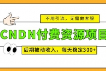 CNDN付费资源项目，不用引流，无需做客服，后期被动收入，每天稳定300+-创业网