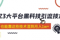 价值4899的2023大平台黑科技引流技术 小白也能靠这些技术混到月入1w+29节课-创业网