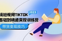 跨境·短视频TIKTOK零基础到精通变现训练营 短视频·独立站·带货变现技巧-创业网