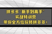 拼多多“新手到高手”实战特训营：带你全方位玩转拼多多！-创业网