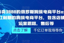 俄罗斯跨境电商平台ozon运营，包含店铺申请，运营思路，售后等-创业网