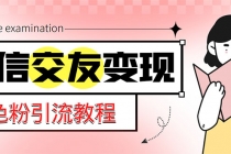 微信交友变现项目，吸引全网LSP男粉精准变现，小白也能轻松上手，日入500+-创业网