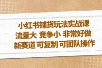 小红书铺货玩法实战课，流量大 竞争小 非常好做 新赛道 可复制 可团队操作-创业网