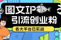 价值1688的ks dy 小红书图文ip引流实操课，日引50-100！各大平台已经实战-创业网