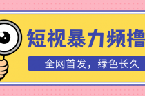 外面收费1680的短视频暴力撸金，日入300+长期可做，赠自动收款平台-创业网