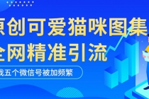 黑科技纯原创可爱猫咪图片，全网精准引流，实操5个VX号被加频繁-创业网