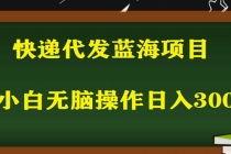 2023最新蓝海快递代发项目，小白零成本照抄也能日入300+-创业网