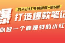 21天小红书特训营-第6期，打造爆款笔记，带你做一个能赚钱的小红书！-创业网