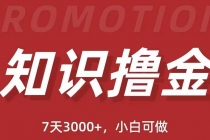 抖音知识撸金项目：简单粗暴日入1000+执行力强当天见收益(教程+资料)-创业网