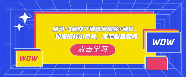 哈哥·3月线下实操课高清视频+课件，如何玩转小而美，高毛利直播间-创业网