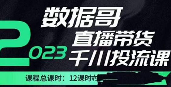 数据哥2023直播电商巨量千川付费投流实操课，快速掌握直播带货运营投放策略-创业网