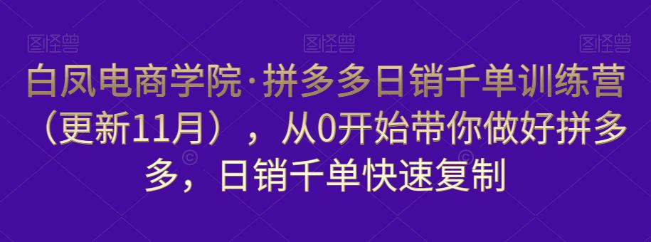 白凤电商学院·拼多多日销千单训练营，从0开始带你做好拼多多，日销千单快速复制（更新知2023年3月）-创业网