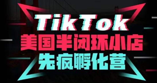 疯人院·TikTok美国半闭环小店孵化营，抢占TikTok美国蓝海市场，开店、运营、带货、投流全实操-创业网