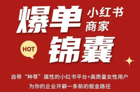 无畏·小红书商家爆单锦囊，掌握小红书各大规则，快速精准抢占行业和市场-创业网