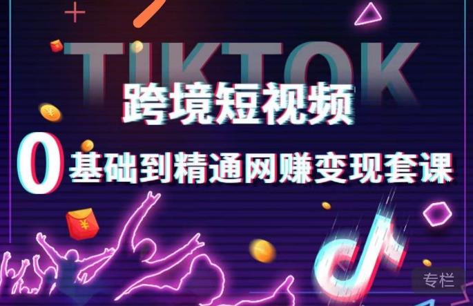 跨境短视频TIKTOK 0基础到精通网赚变现套课，跨境短视频独立站带货变现技巧-创业网