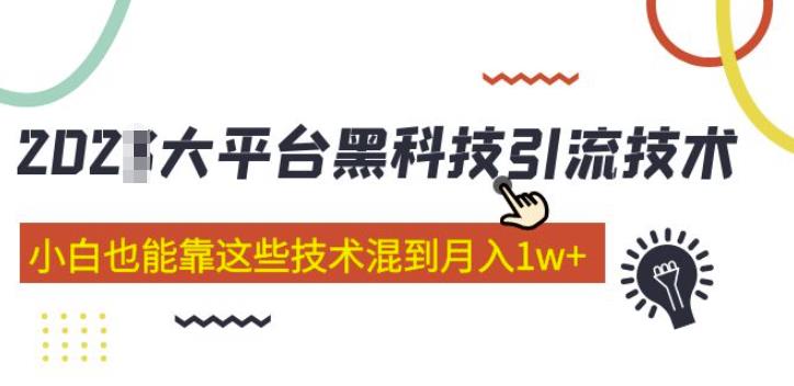 大平台黑科技引流技术，小白也能靠这些技术混到月入1w+(2022年的课程）-创业网