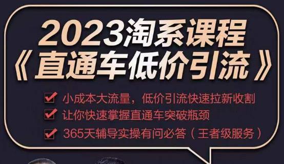 2023直通车低价引流玩法课程，小成本大流量，低价引流快速拉新收割，让你快速掌握直通车突破瓶颈-创业网