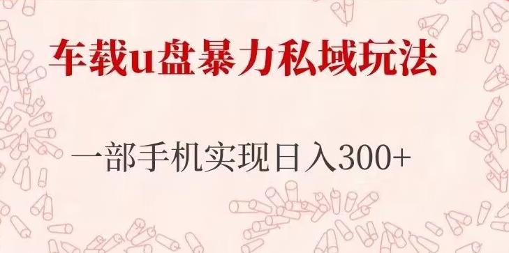 车载u盘暴力私域玩法，长期项目，仅需一部手机实现日入300+-创业网