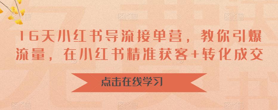 16天小红书导流接单营，教你引爆流量，在小红书精准获客+转化成交-创业网