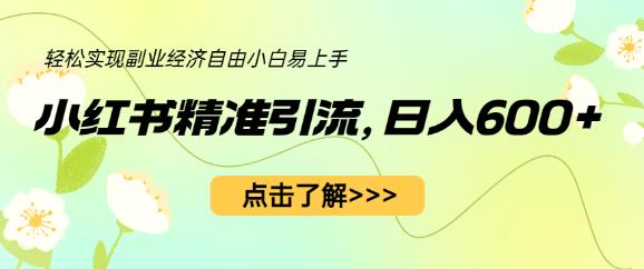 小红书精准引流，小白日入600+，轻松实现副业经济自由（教程+1153G资源）-创业网