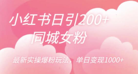 小红书日引200+同城女粉，最新实操爆粉玩法，单日变现1000+【揭秘】-创业网