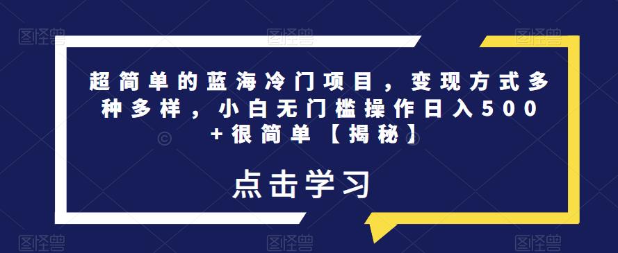 超简单的蓝海冷门项目，变现方式多种多样，小白无门槛操作日入500+很简单【揭秘】-创业网