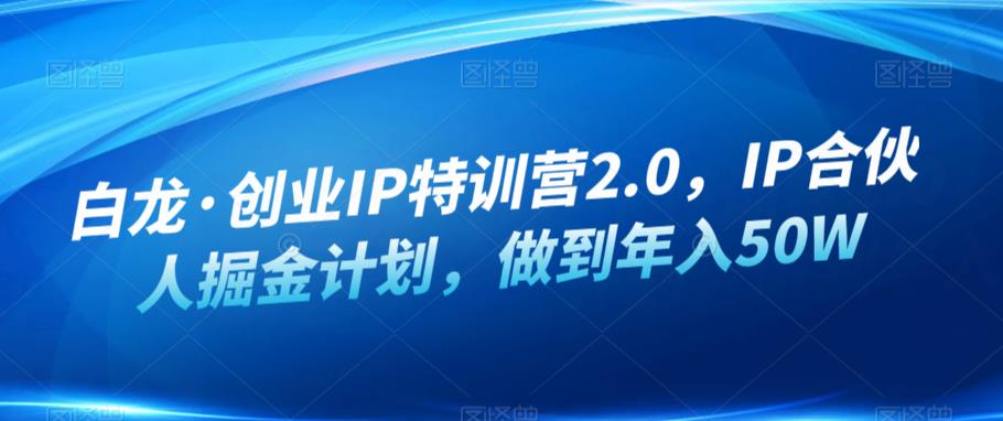 白龙·创业IP特训营2.0，IP合伙人掘金计划，做到年入50W-创业网